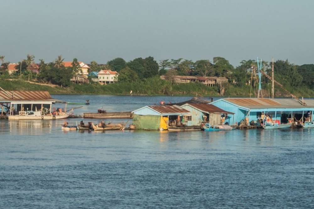 כפר צף בטונלה סאפ